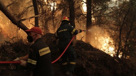 Доброволец, гасящ пожарите на Евия: Държавата я няма никъде