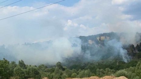 Спирачка на влак предизвика пожар, пламна гора край Трън