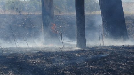 Екипи следят за ново възпламеняване на пожара в Рила