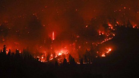 Пожарите в целия свят влошават COVID пандемията