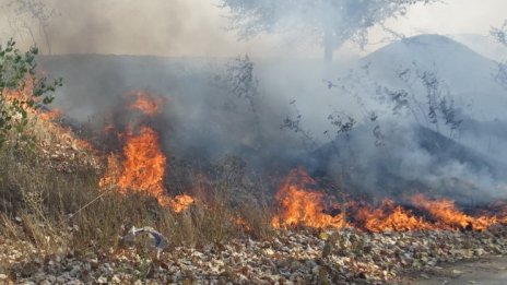 Само за три дни в Кюстендилско са гасили 22 пожара