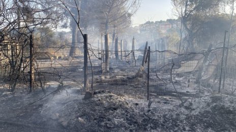 Италия след пожарите: Хора и животни умират, всичко се превърна в пепел 