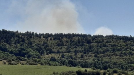 Пожар гори в планината Вискяр