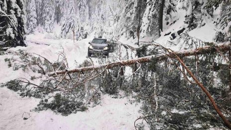 Ограничиха движението по пътя Банско - Шилигарника