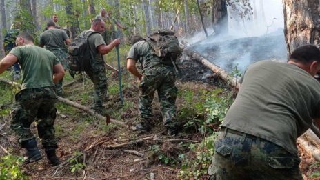 Осми ден продължава борбата с пожара край Югово