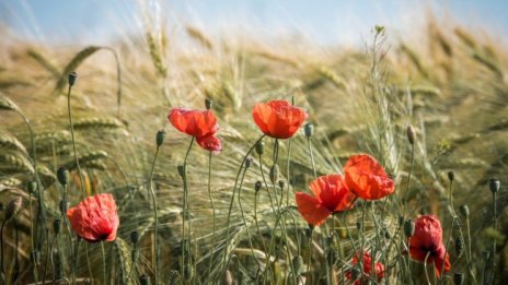 Облачно, но без валежи в четвъртък, градусите до  26°