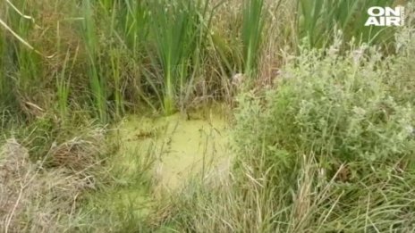 ВиК авария от години в елховско село - вода тече по улици и дворове