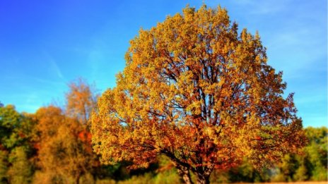 Слънчево и топло и в неделя, градусите до 29°