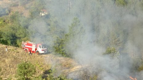 Пожарът в Карлово - заради човешка небрежност