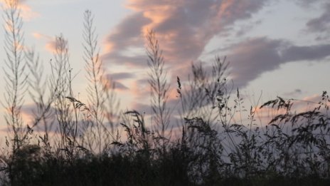 Времето днес: Тихо и слънчево, градусите до 23