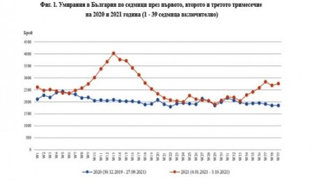 Тревожно: Починалите през третото тримесечие със 17% повече от 2020 г.