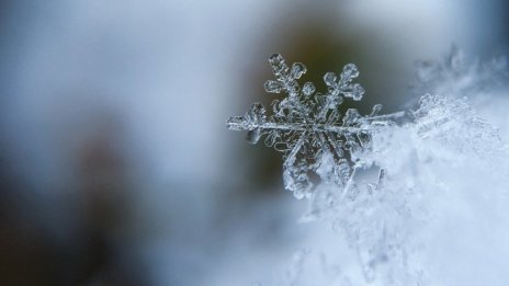 Първи снежинки ни очакват в понеделник след изборите 