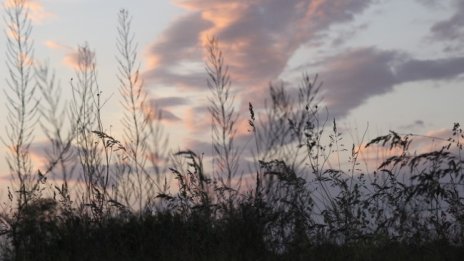 Времето и днес слънчево, застудяване от утре