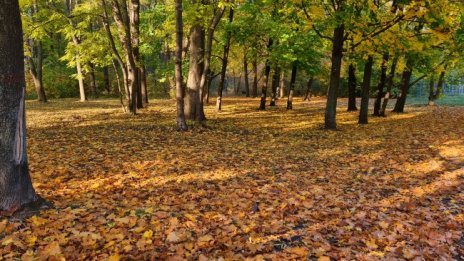 Времето днес: Слънчево, градусите до 16