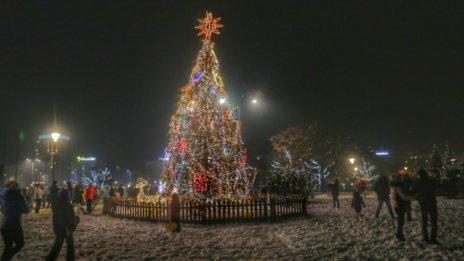 Палят светлините на коледната елха в София 