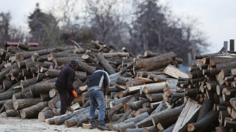 Трайно от години: Българинът се отоплява основно с дърва