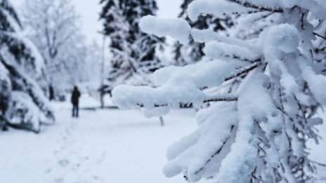 Снегът ще трупа цял ден в почти цялата страна, температурите падат