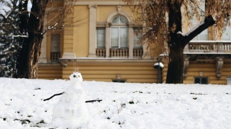 Денят в снимки - 9 декември