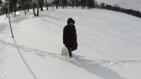 Рекорден снеговалеж в Сърбия блокира летището в Белград 