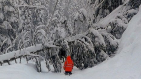 Шест селища в Смолянско остават без ток