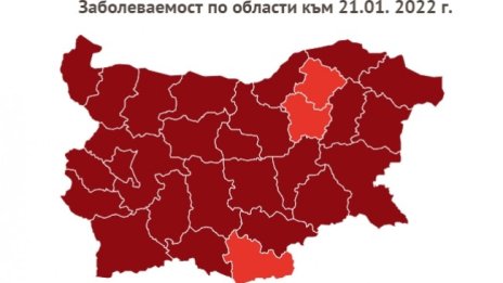 COVID-19 през януари - заразени, в болници, смъртност