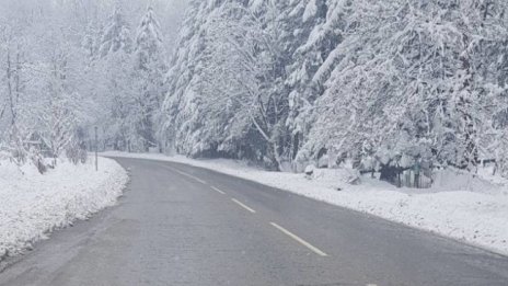 Ограничено е движението за камиони в проходи и по някои пътища