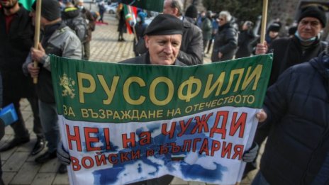 "Русофили" протестираха пред президенството 