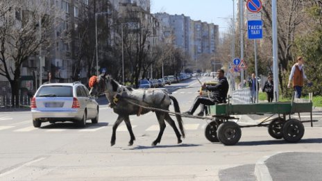 Забраняват каруците в София от 1 юни