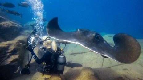 У-лицата с Пламена Милева и красотата на подводния свят