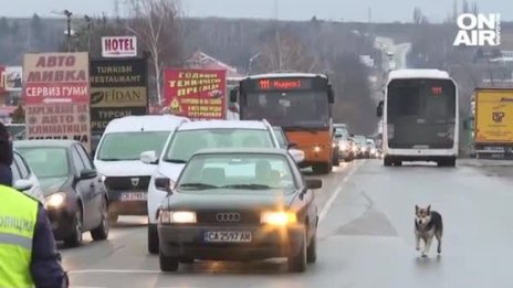 В Суходол настояват за разширяване на Околовръстното