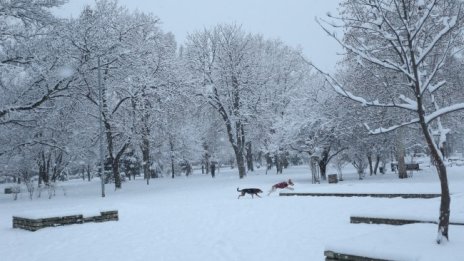 Жълт и оранжев код са обявени за сняг и вятър утре