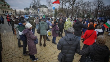 Протест пред парламента в защита на Стефан Янев 