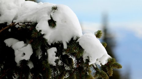 И днес ще е студено, очакват се превалявания от дъжд и сняг