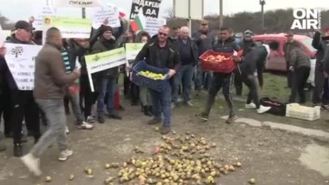 Производители на плодове и зеленчуци на протест