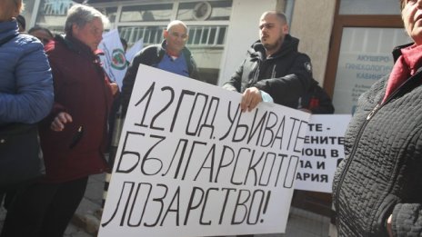 Протест пред МЗ: 12 години убивате българското лозарство