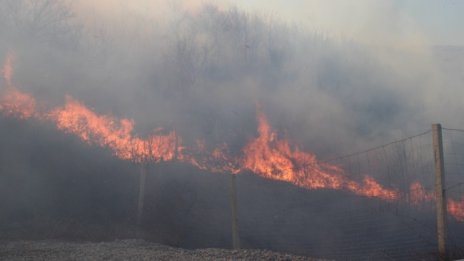 Храсти и сухи треви горят край Дупница