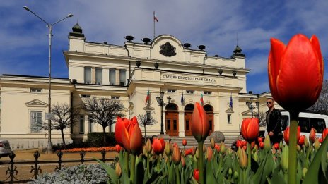 19 млн. лв. от парите на данъкоплатците отиват за партийна субсидия 