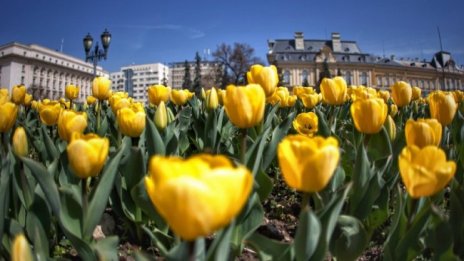 Облачно, но топло във вторник, градусите до 22°