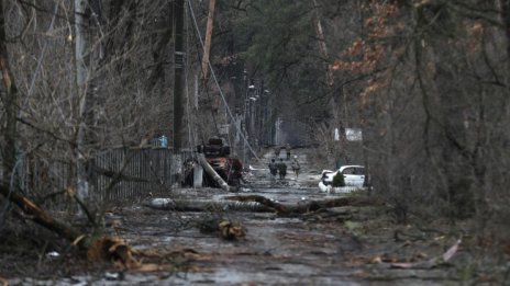 Телата на 11 души открити в гараж в Гостомел