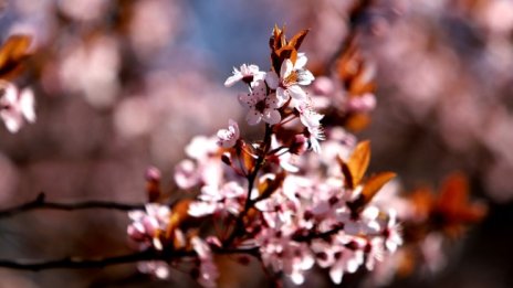 В петък и събота – слънчево и много топло, в неделя идва дъжд