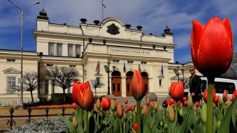 В НС ще се състои изложба за Международния ден на ромите