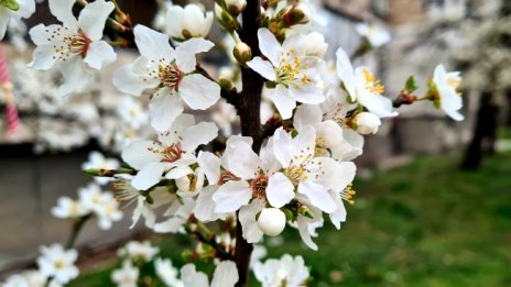 Времето днес: Хладно, дъжд, на места и сняг