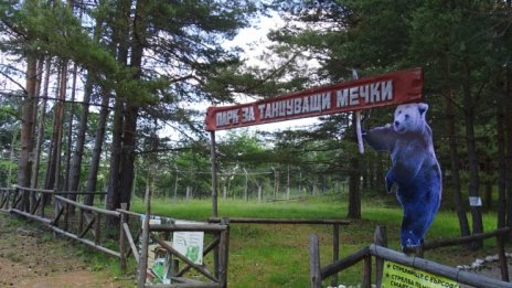 Отварят за посетители парка за танцуващи мечки край Белица