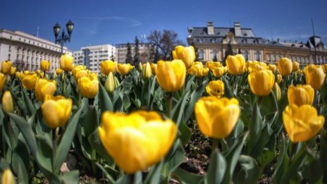 Затопляне на времето от събота, на Великден ще е над 20°