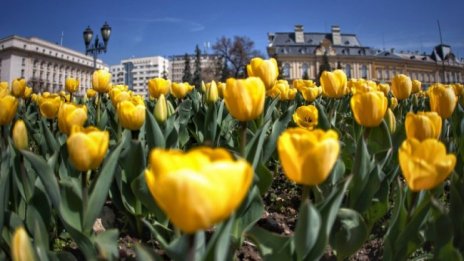 Гръмотевични бури след 1 май, температурите падат от 23 на 19 градуса 