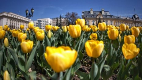 В неделя остава хладно за периода, градусите до 21°