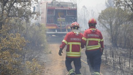 Екстремни горещини и бушуващи пожари в Западна Европа