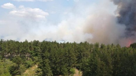 Локализиран е пожарът между Калугерово и Лесичово