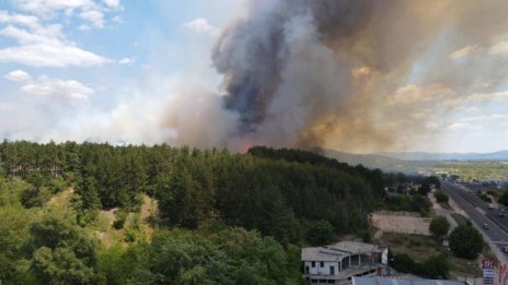 Овладяха пожара между Калугерово и Лесичово