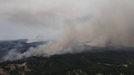 Суша, жега и ветрове - пожарите в Гърция не стихват